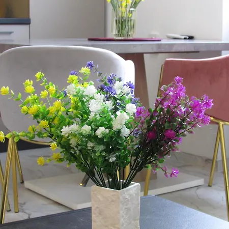 Sea Bonbon * ザダル