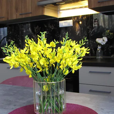 アパート Sea Bonbon