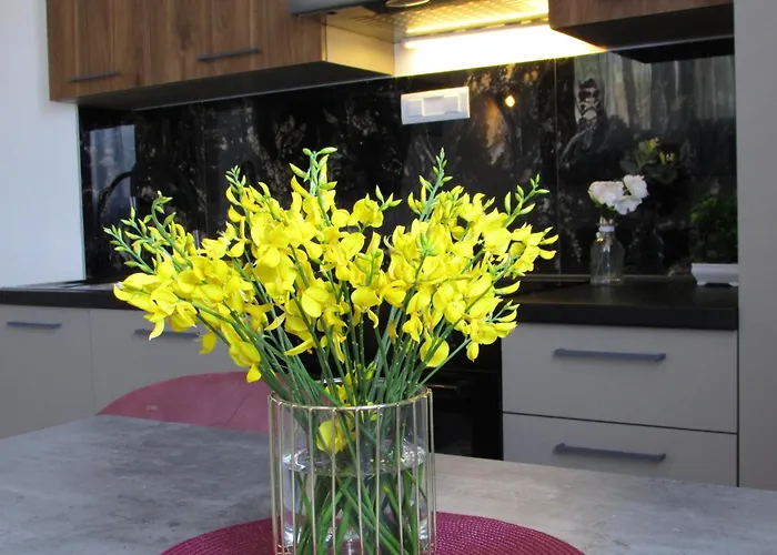 アパート Sea Bonbon